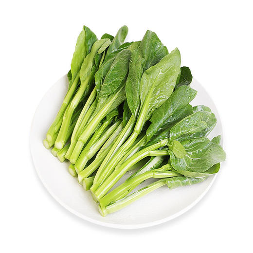 有机广东菜心 商品图1