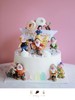 白雪公主（蛋糕后面花环随机） 商品缩略图2