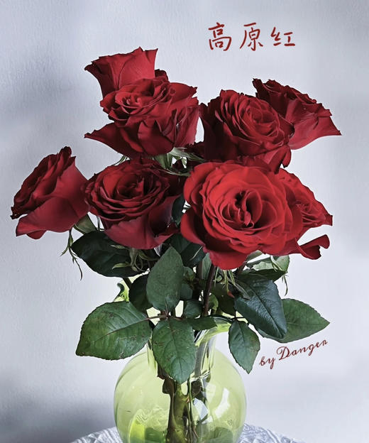 【秒杀福利】高原红 20支/扎 商品图0