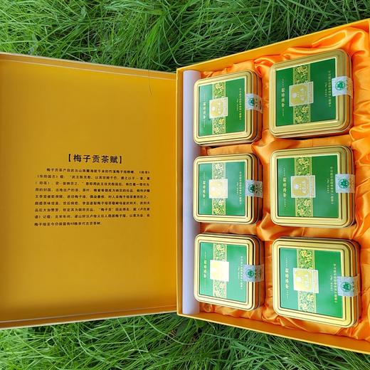 2026新茶竹溪梅子贡·中华茶韵绿茶礼盒装  300g（50g*6袋） 商品图3