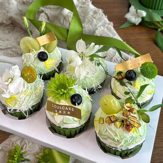 春夏（所有绿植均不可食用！） 商品图0