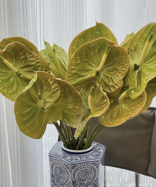 【绿光彩掌】欧丽维斯，芥末绿 商品图3