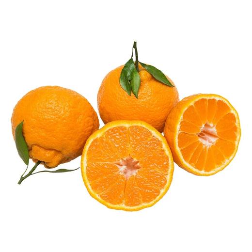 当季四川耙耙柑一份500g 商品图0