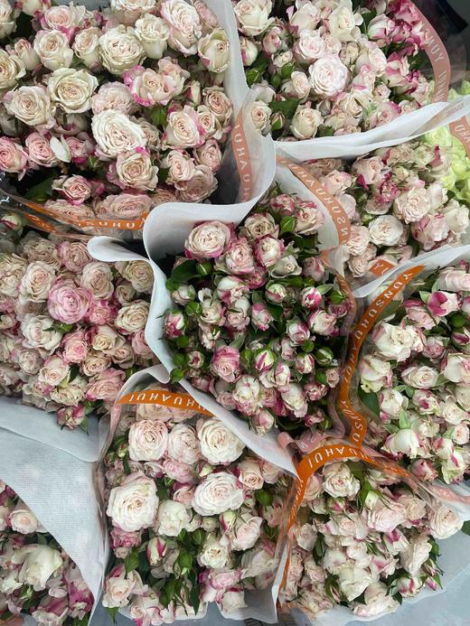 【秒杀福利】多头折射 10支/扎 商品图7