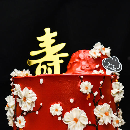 寿与天齐 商品图2