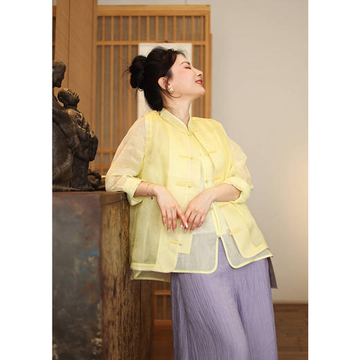 【线上专属】发布会（马甲21704036-半见） 商品图0