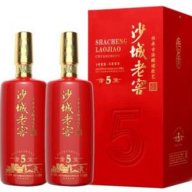 [白酒]新版沙城传承5年38度500ml