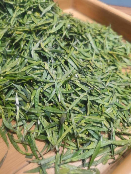 2026新茶尝鲜活动! 拍2发3！2000#竹叶青 商品图8