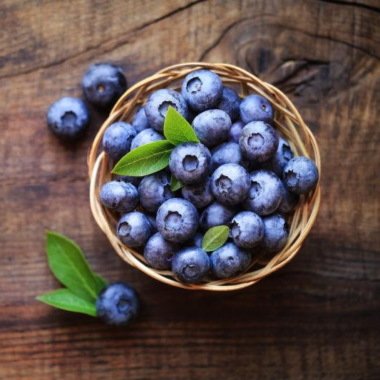 【澄航蓝莓】蓝莓现摘