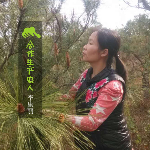 野生松花粉 | 合作生产 * Wild-Pollen pini | Partner Production 商品图1