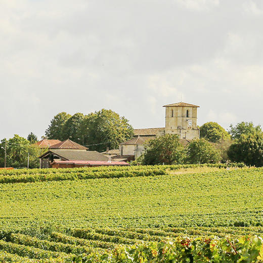 酩颂酒庄干红葡萄酒2018年 Château Mongiron Rouge 2018 商品图3