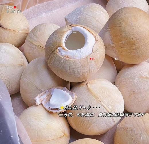 【进口专区】泰国老树 奶香椰皇/椰青 纯正清透，奶香味十足 商品图1