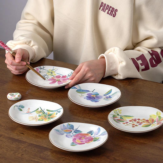 日本进口和蓝花语5入中盘家用陶瓷餐具蛋糕点心盘菜盘 商品图1