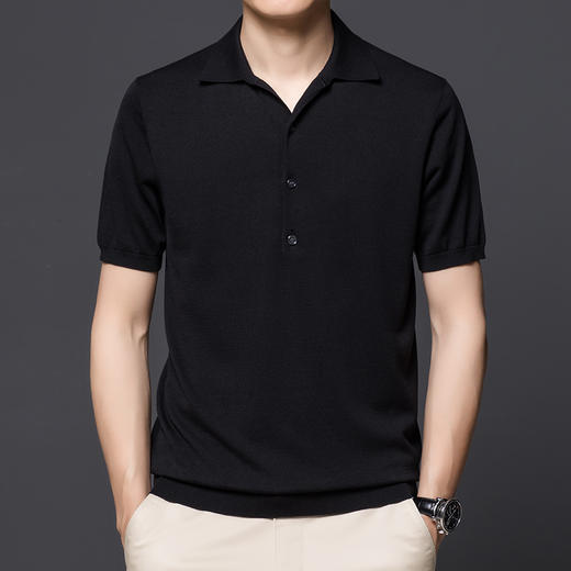 【孤品捡漏】【龙贝莱精选】男士品质含桑蚕丝针织POLO衫H232050858 商品图4