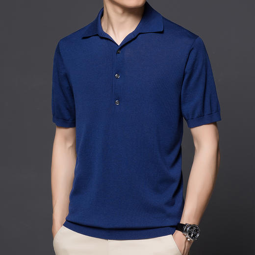 【孤品捡漏】【龙贝莱精选】男士品质含桑蚕丝针织POLO衫H232050858 商品图6