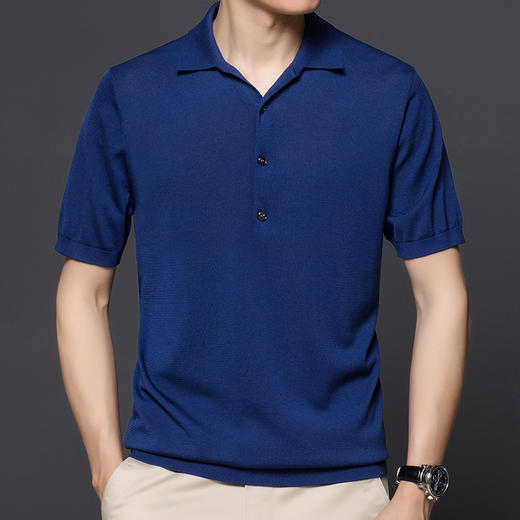 【孤品捡漏】【龙贝莱精选】男士品质含桑蚕丝针织POLO衫H232050858 商品图7