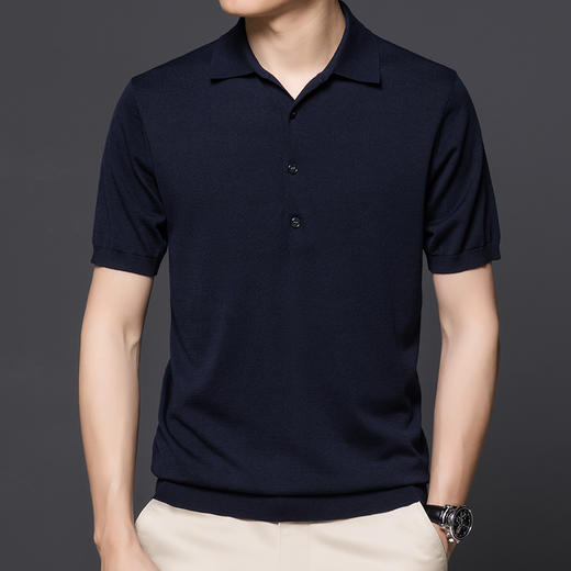 【孤品捡漏】【龙贝莱精选】男士品质含桑蚕丝针织POLO衫H232050858 商品图2