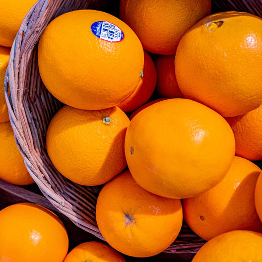 新奇士橙(单颗) Orange 商品图0