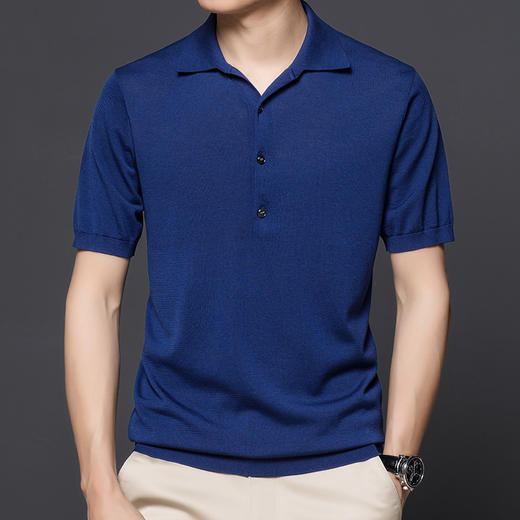 【孤品捡漏】【龙贝莱精选】男士品质含桑蚕丝针织POLO衫H232050858 商品图8