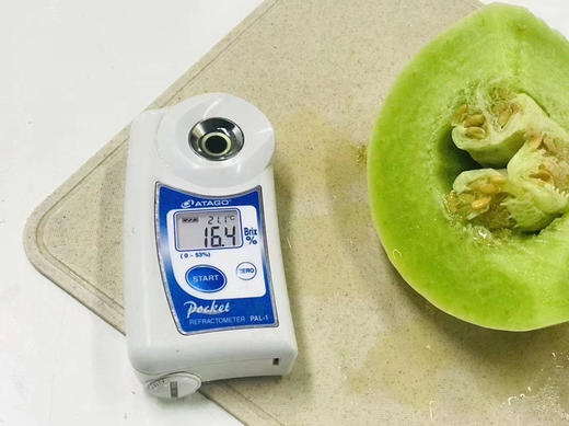 正宗南汇玉菇🍈又软糯、又水润、又香甜～冰镇后更爽😍收到建议常温放置两天 商品图8