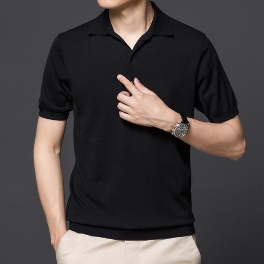 【孤品捡漏】【龙贝莱精选】男士品质含桑蚕丝针织POLO衫H232050858 商品图3