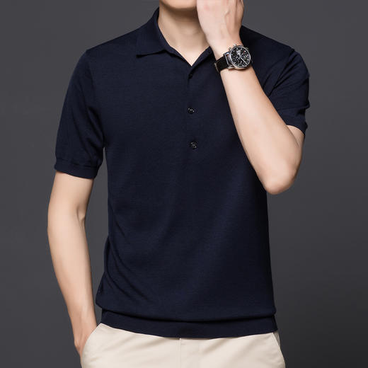 【孤品捡漏】【龙贝莱精选】男士品质含桑蚕丝针织POLO衫H232050858 商品图1