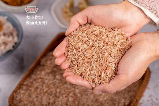 云南元阳梯田 红米 世界文化遗产 低脂粗粮膳食纤维 商品图2