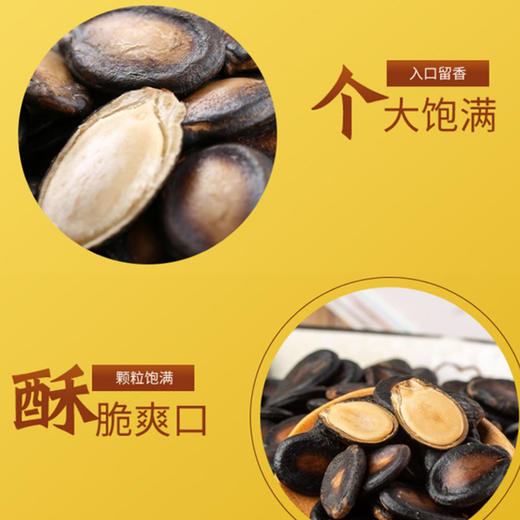 正林黑瓜子500-250±10g 商品图4