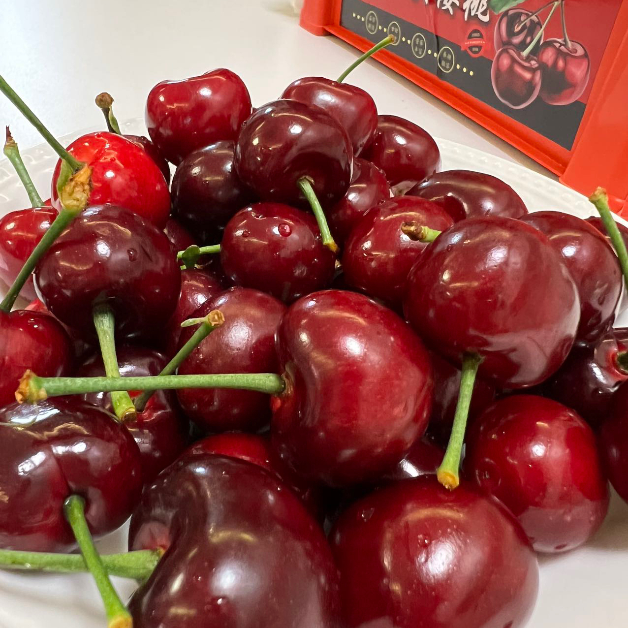 【MJ福利购】大连美早樱桃 JJJJ级