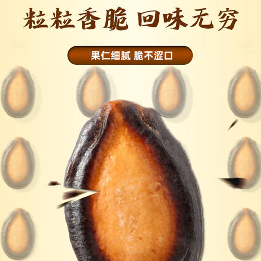 正林黑瓜子500-250±10g 商品图3