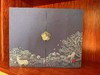 普洱单饼礼盒正开【TC】 商品缩略图0