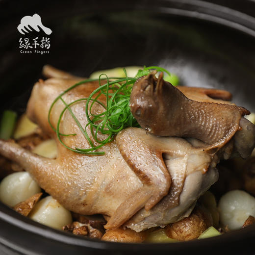 生态鹌鹑| 绿家自产* Eco- quail  | Self-production 商品图1