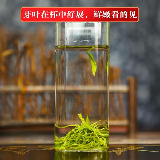 绿茶 | 潇湘明前头采特级黄金茶75g 商品图2