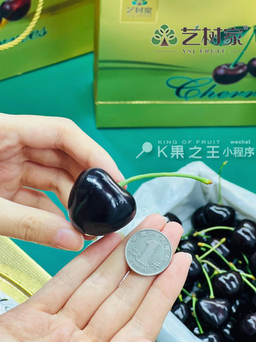 大连艺树家✈️俄8黑珍珠樱桃🍒纯甜又浓郁 商品图10