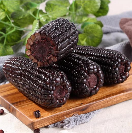 粹品沁采东北鲜食黑糯玉米礼盒2.2kg（新老包装随机） 商品图3