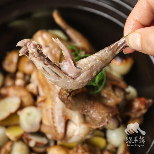 生态鹌鹑| 绿家自产* Eco- quail  | Self-production 商品图4