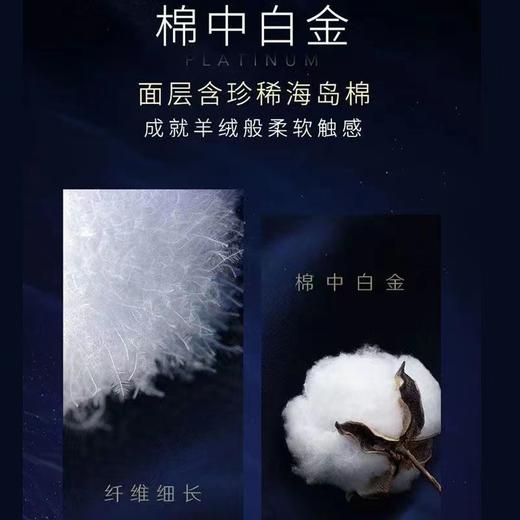 高洁丝夜安裤海岛棉奢柔安心裤安全裤裤装卫生巾姨妈巾L号2条装 商品图3