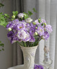 【洋桔梗】--烟灰紫  若干枝/扎 商品缩略图2