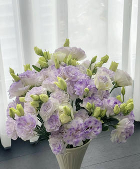 【洋桔梗】--烟灰紫  若干枝/扎