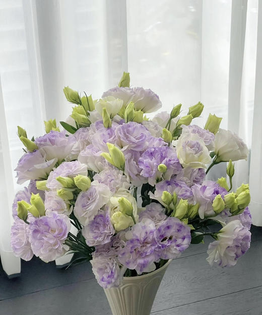 【洋桔梗】--烟灰紫  若干枝/扎 商品图0