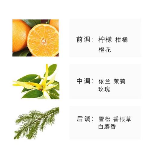 香奈儿5号之水淡香水100ml 五号淡香水 商品图3