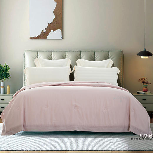 中信银行专供 鑫缘 
可水洗夏凉被 BFZ2023 商品图1