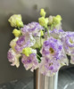 【洋桔梗】--烟灰紫  若干枝/扎 商品缩略图4