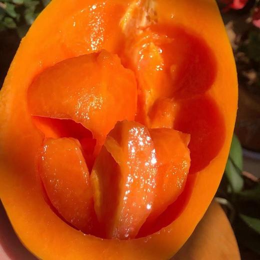 树熟 冰糖心牛奶木瓜  如牛奶般丝滑/香甜嫩滑 商品图1