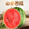 京东到家【山东·潍坊】2K手撕西瓜 新鲜水果当季2-4斤2k手撕西瓜薄皮整箱脆甜多汁红瓤包邮 商品缩略图0