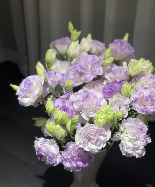 【洋桔梗】--烟灰紫  若干枝/扎 商品图1