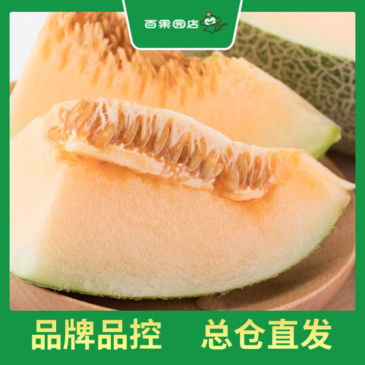 PAGODA百果园 B级-沙漠蜜瓜2粒礼盒装（净重约6斤） 商品图2