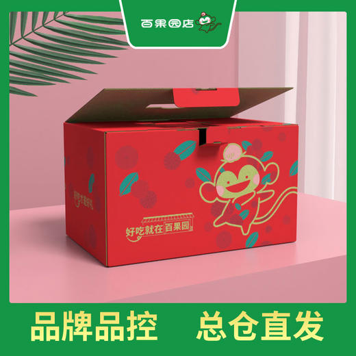 PAGODA百果园 B级-沙漠蜜瓜2粒礼盒装（净重约6斤） 商品图4