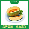 PAGODA百果园 B级-沙漠蜜瓜2粒礼盒装（净重约6斤） 商品缩略图0