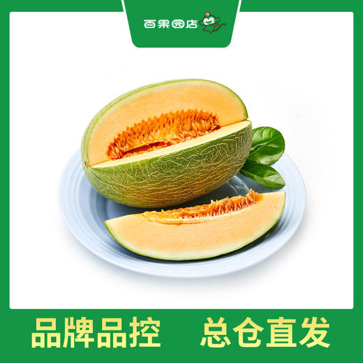 PAGODA百果园 B级-沙漠蜜瓜2粒礼盒装（净重约6斤） 商品图0
